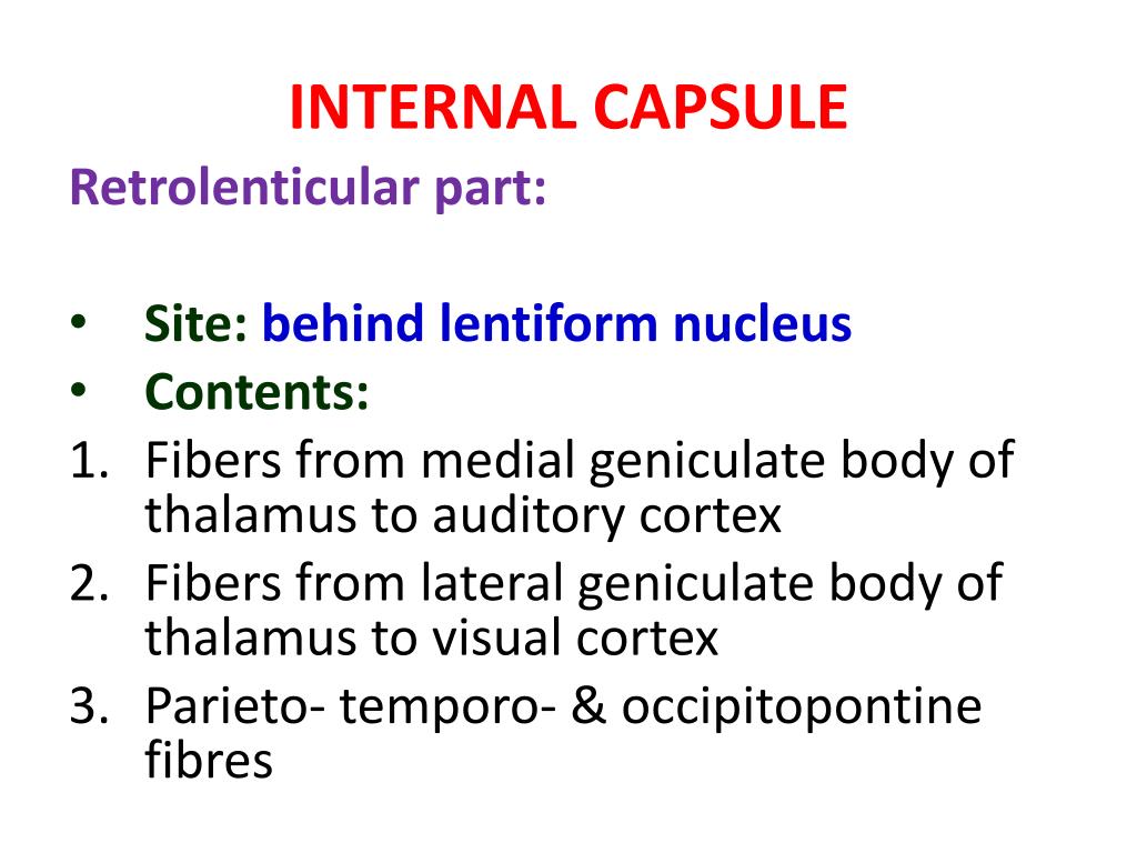 PPT INTERNAL CAPSULE PowerPoint Presentation, free download ID3065666