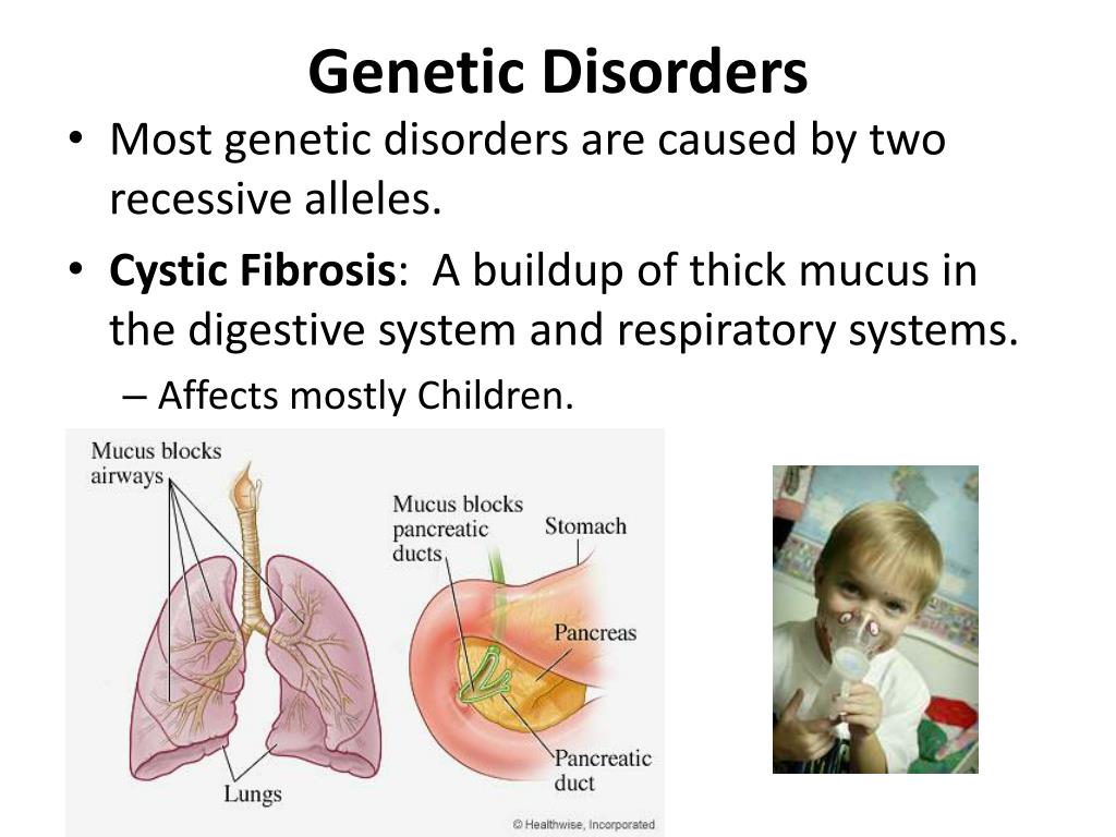 PPT Disorders, Karyotypes , & Pedigrees PowerPoint