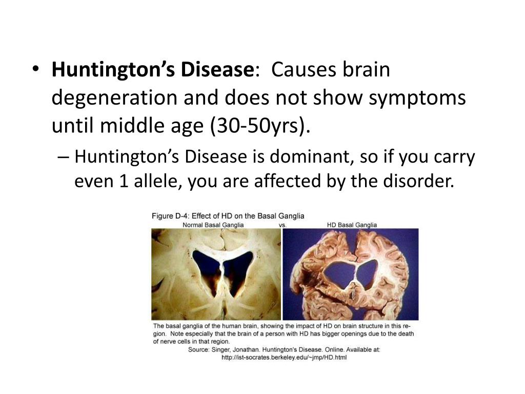 PPT Disorders, Karyotypes , & Pedigrees PowerPoint