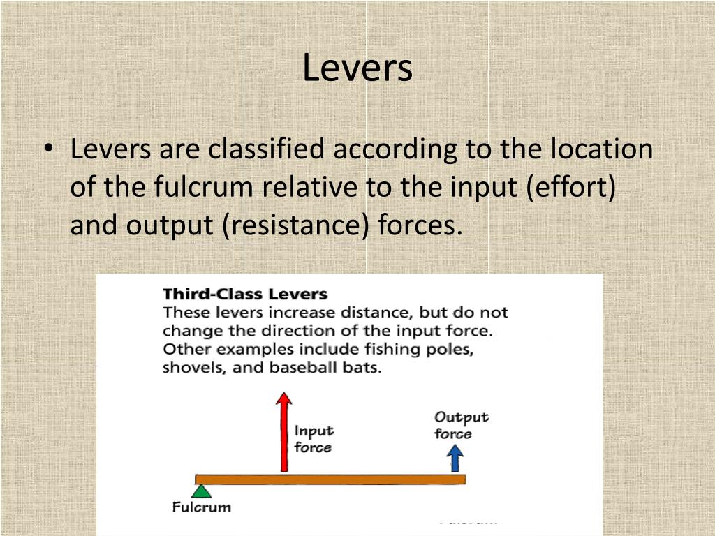 PPT Notes 134 PowerPoint Presentation, free download ID3066192