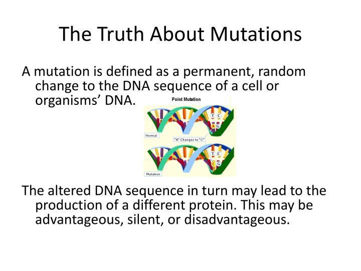 PPT VARIATION Mitosis, Meiosis and Mutation PowerPoint Presentation