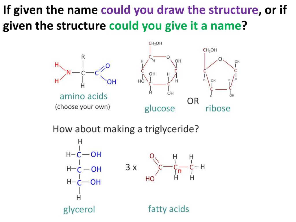PPT Carbohydrates, Lipids, & Proteins PowerPoint Presentation, free
