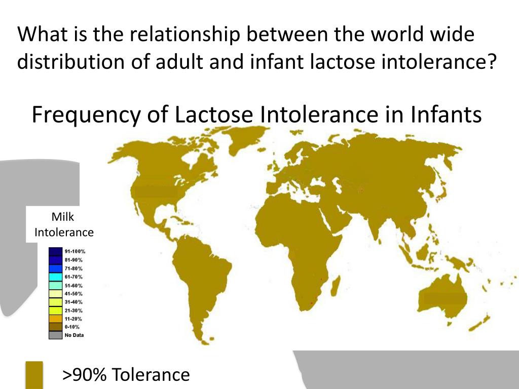 PPT Case Study The world wide distribution of lactose intolerance