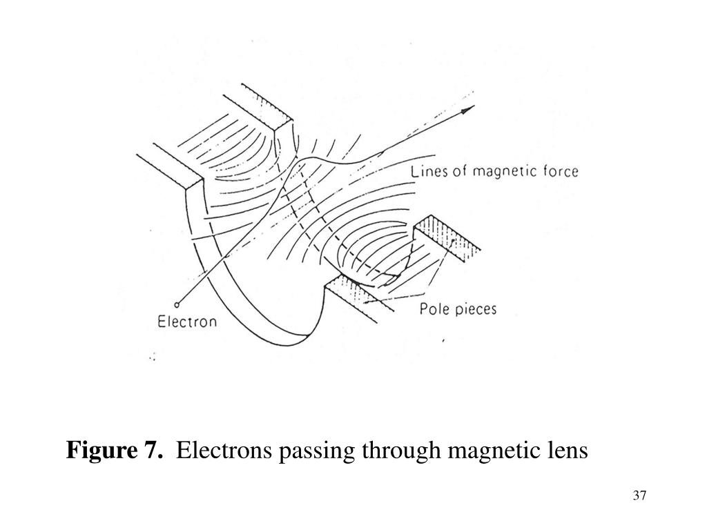 PPT Microscopy Overview of Different Methods PowerPoint Presentation