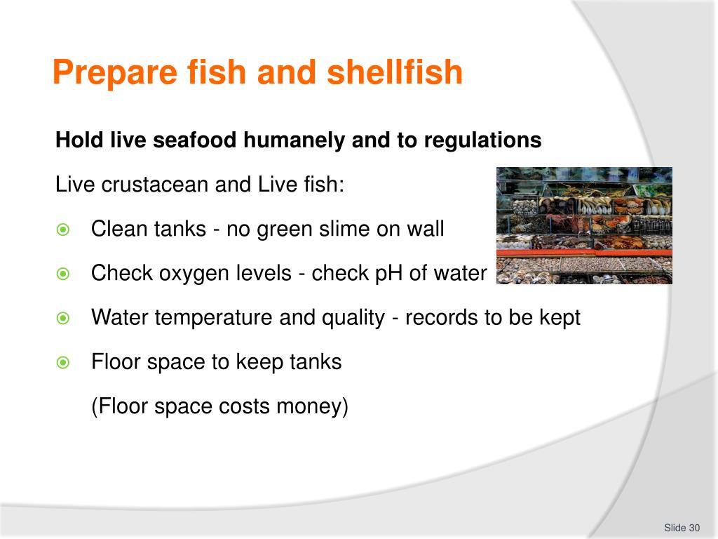 PPT PREPARE AND COOK SEAFOOD PowerPoint Presentation, free download