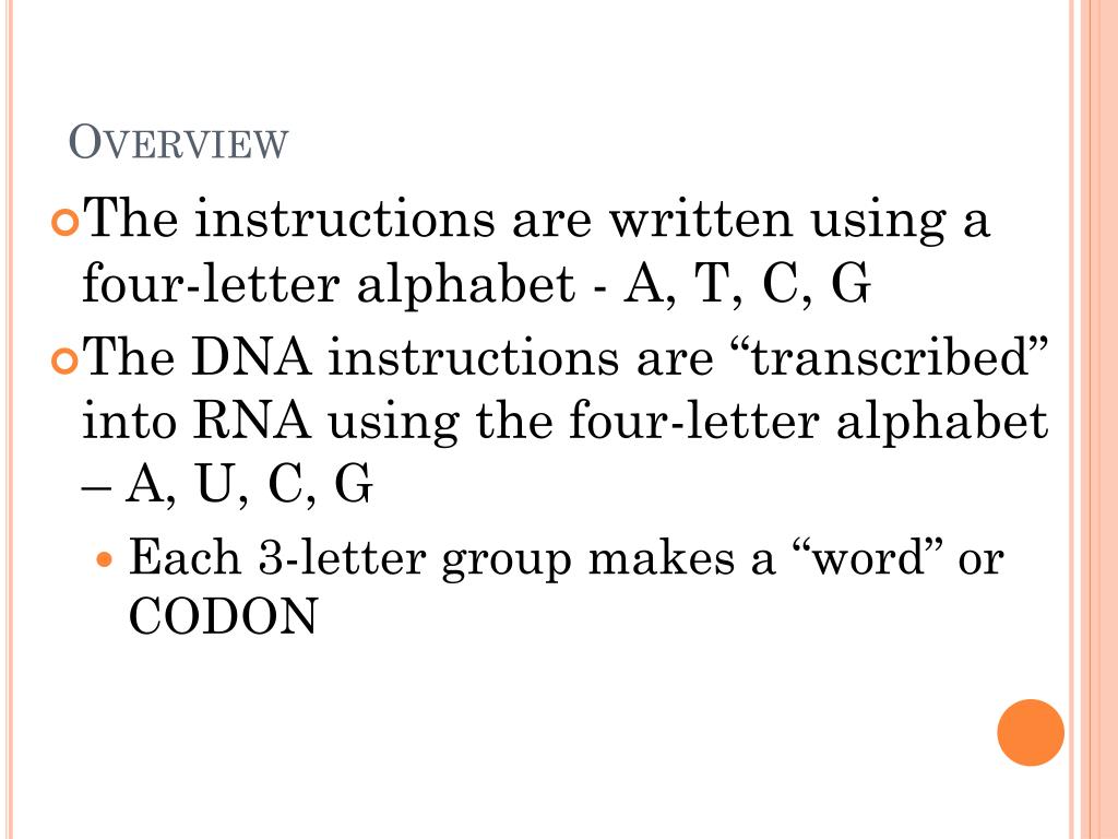 PPT How to Read Your DNA or Protein Synthesis PowerPoint Presentation