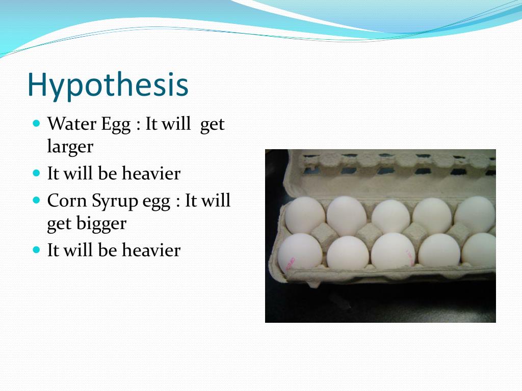 PPT Egg Osmosis Experiment PowerPoint Presentation, free download ID3078206