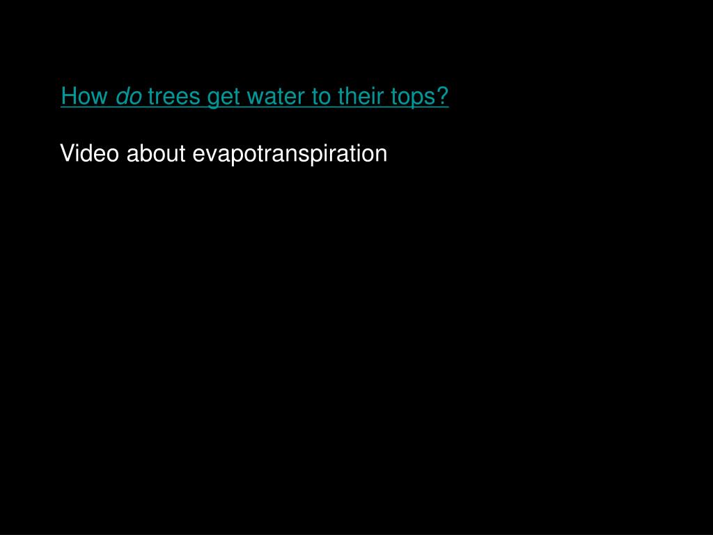 PPT Class Introduction to Plant Biology (Sophomorelevel) PowerPoint