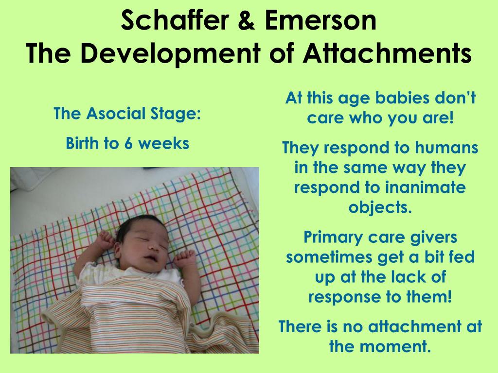 PPT The Role of Attachment Theory in Behaviour Acquisition PowerPoint