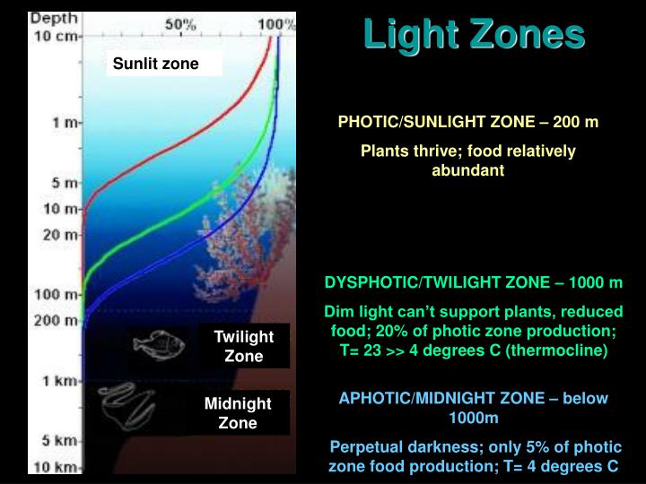 PPT Ocean Layers PowerPoint Presentation ID3085453