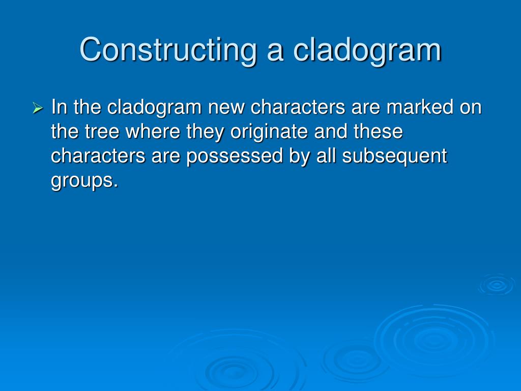 PPT Tree of Life PowerPoint Presentation, free download ID3085802
