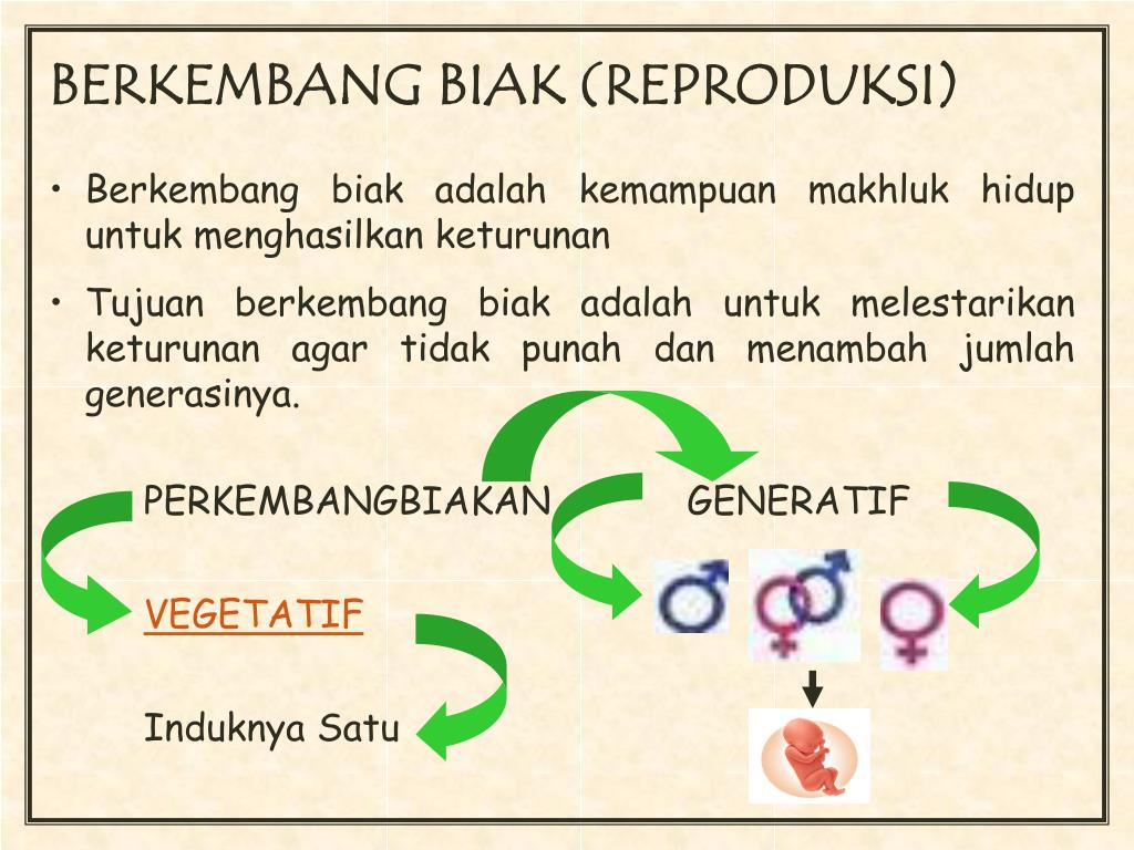 PPT CIRICIRI MAKHLUK HIDUP PowerPoint Presentation, free download