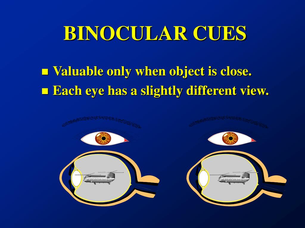PPT CUES TO DEPTH PERCEPTION PowerPoint Presentation, free download