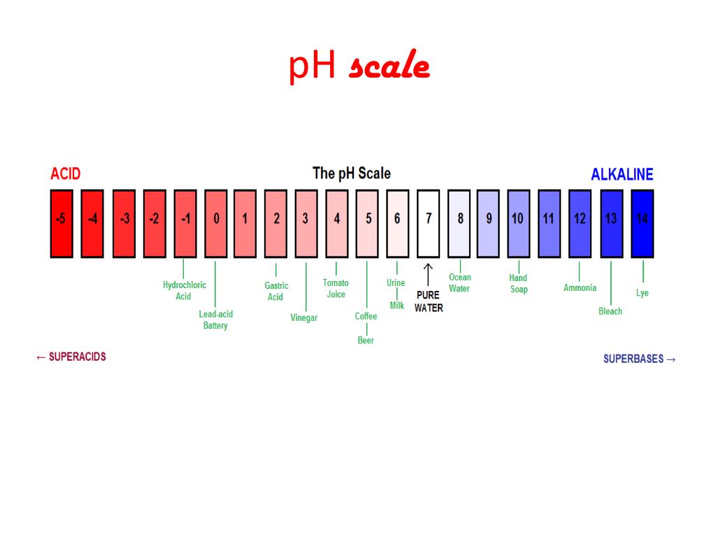 PPT ACIDS AND BASES PowerPoint Presentation, free download ID3090305