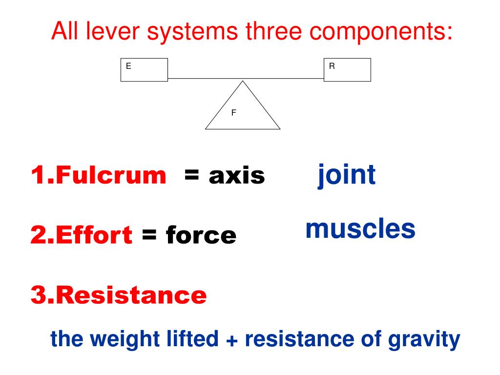 PPT Levers PowerPoint Presentation, free download ID3090331