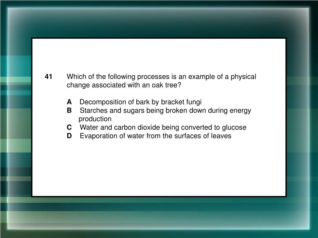 PPT Grade 11 Objective 4 PowerPoint Presentation, free download ID