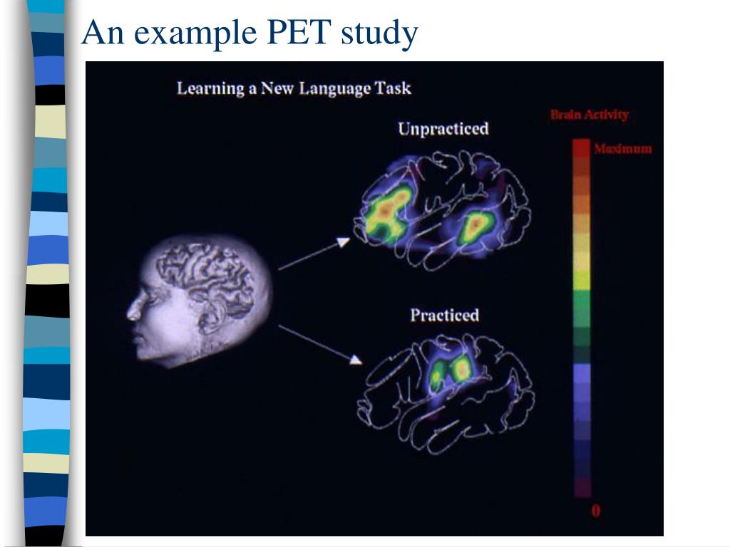 PPT Experiment Design 4 Theoretical + Operational Def’ns PowerPoint Presentation ID3090562