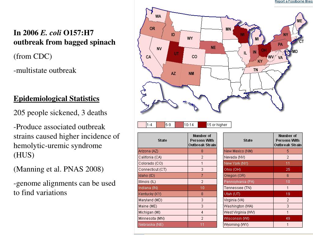 PPT Dissecting virulence of E. coli O157H7 using genome alignments