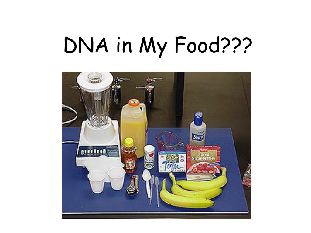 PPT DNA in My Food??? PowerPoint Presentation, free download ID3094130