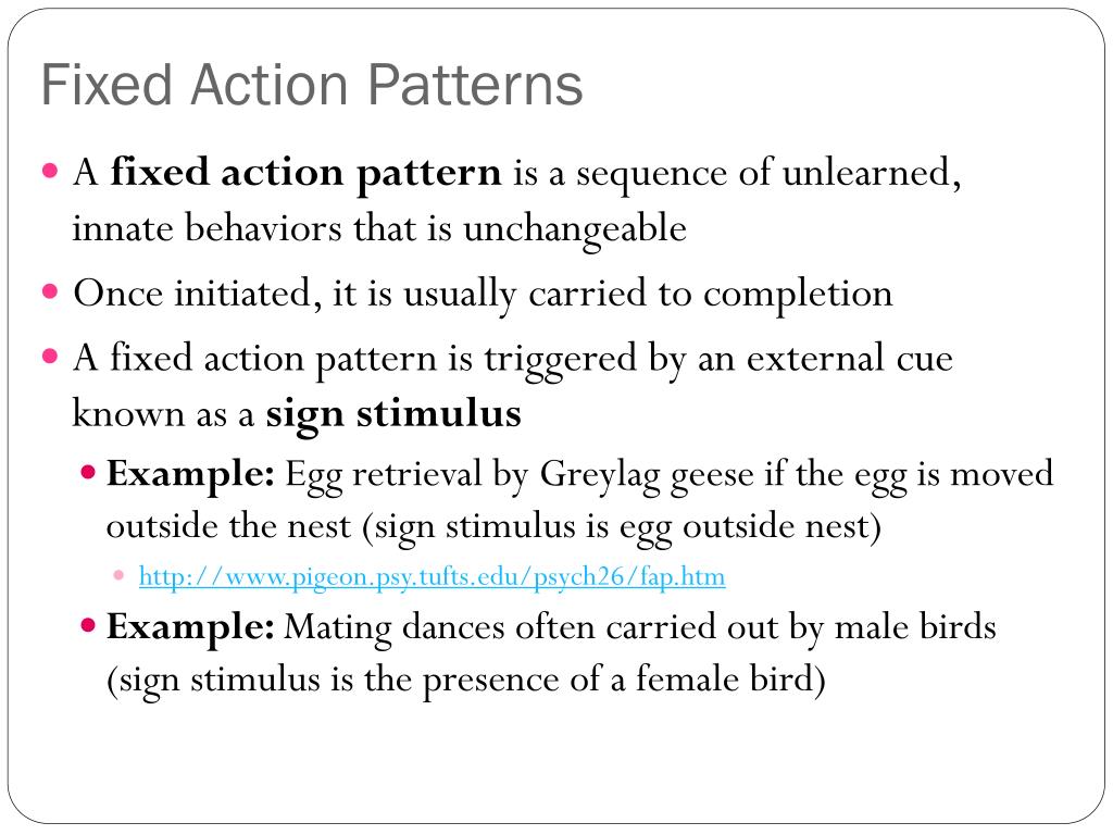 PPT Animal Behavior PowerPoint Presentation, free download ID3096269