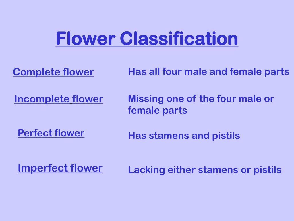 PPT Plant Parts and Functions PowerPoint Presentation, free download