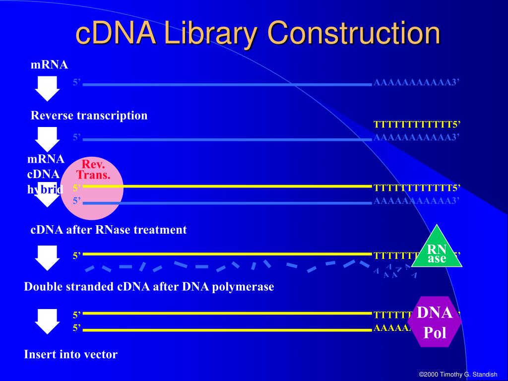 PPT Engineering PowerPoint Presentation, free download ID