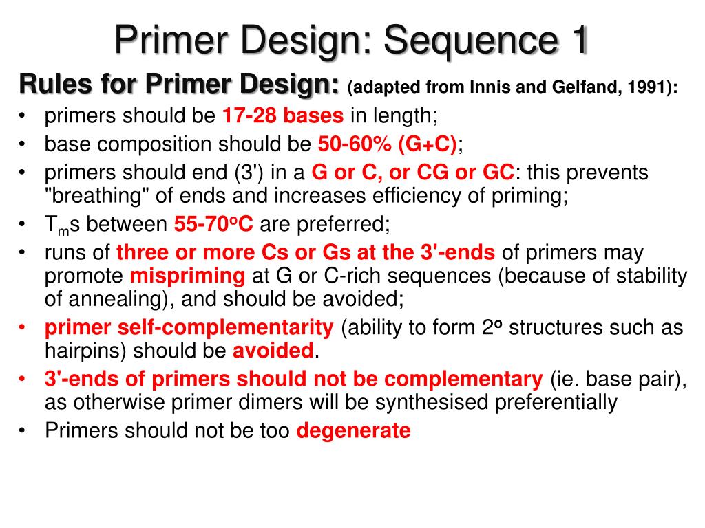 PPT Primer Design Size PowerPoint Presentation, free download ID3099798