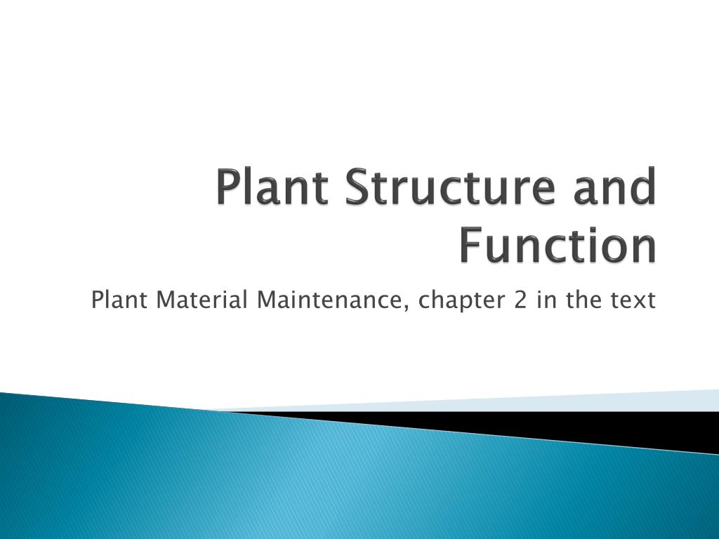 PPT Plant Structure and Function PowerPoint Presentation, free