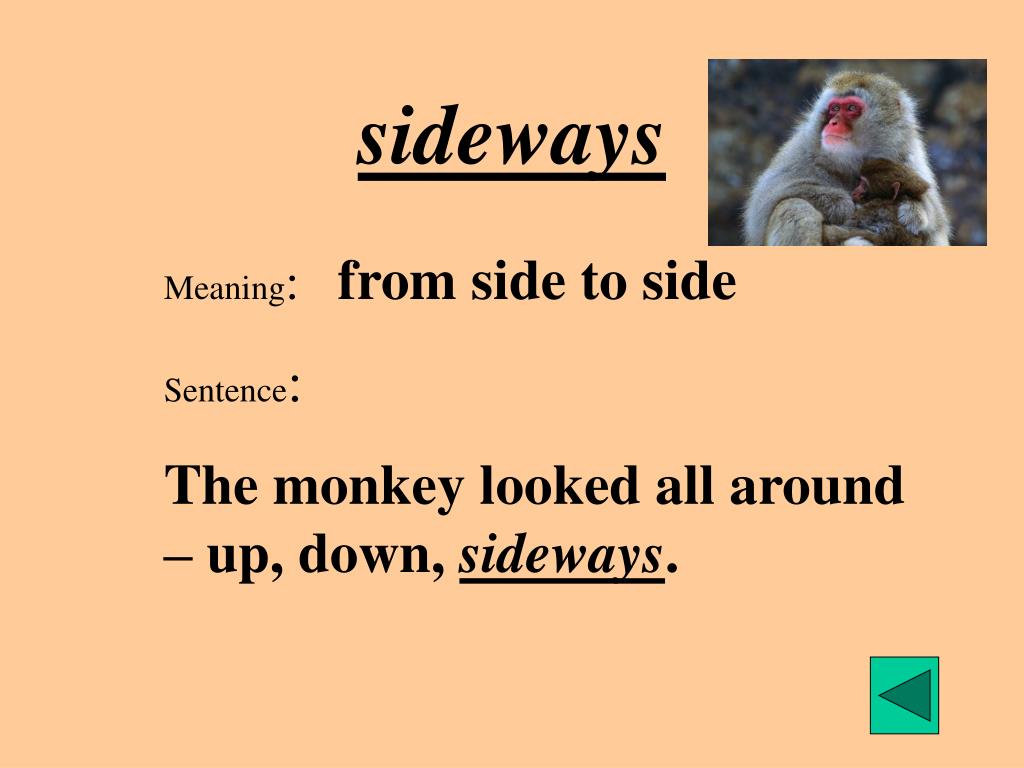 PPT Vocabulary PowerPoint Presentation, free download ID3101032