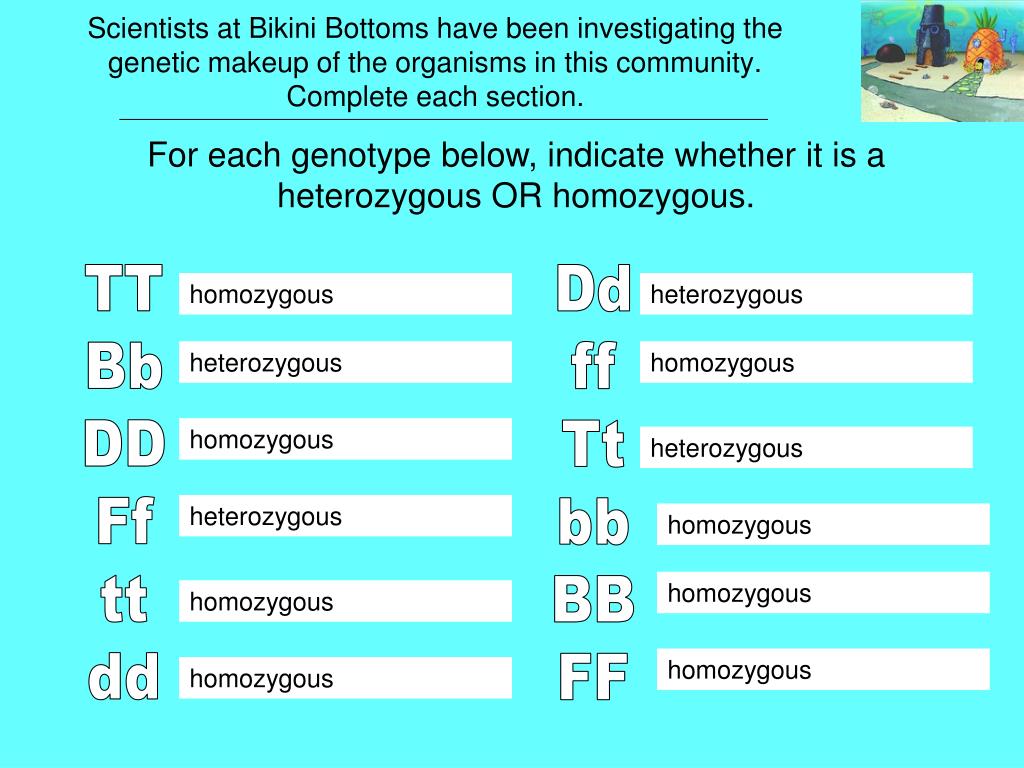 PPT Bikini Bottom PowerPoint Presentation, free download