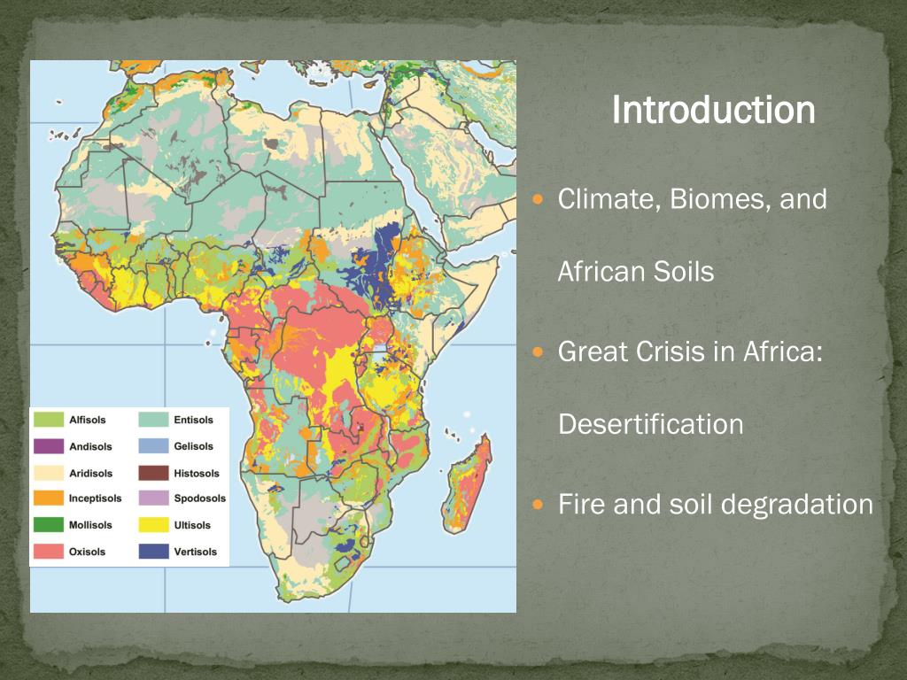 PPT Soils of Africa PowerPoint Presentation, free download ID3105934