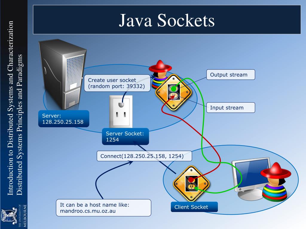 PPT Network Programming and Java Sockets PowerPoint Presentation