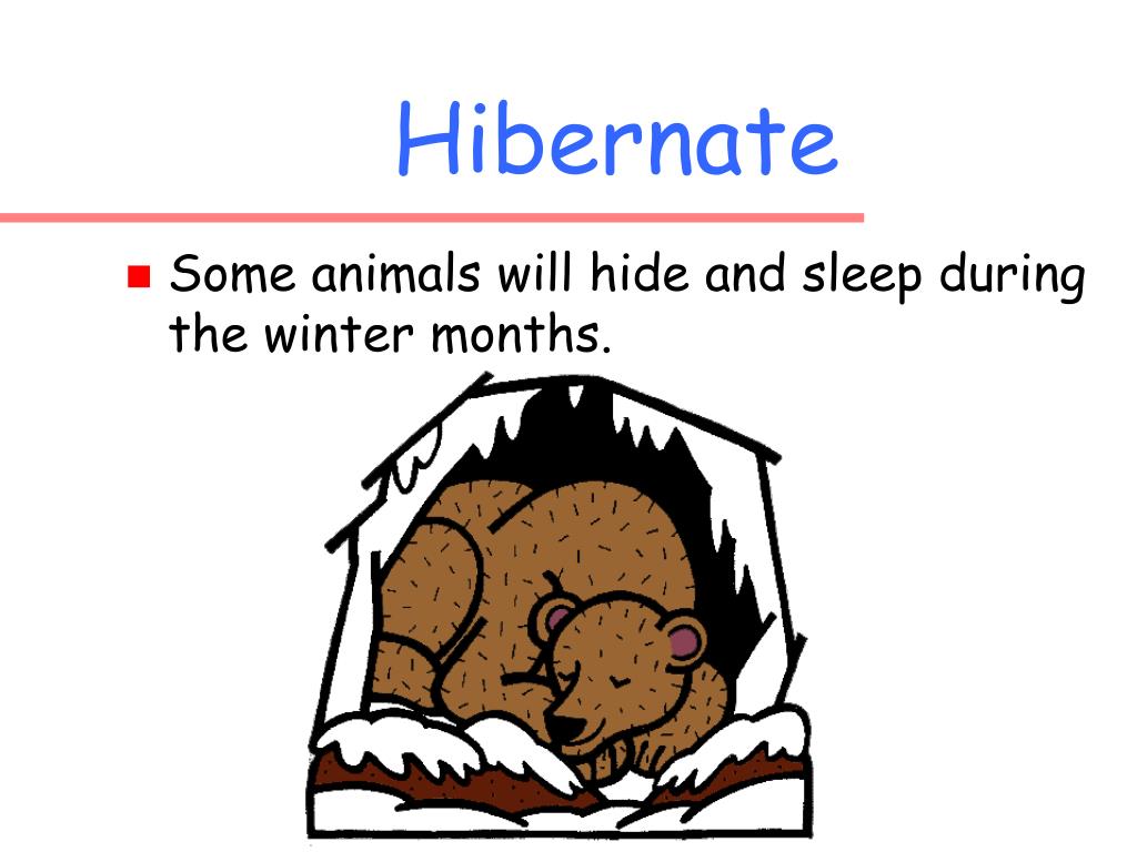 PPT Animals in the Winter Second Grade PowerPoint Presentation, free