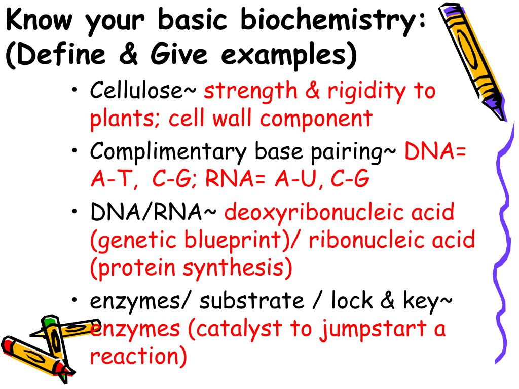 Waxes Structure Functions Biochemistry Examples