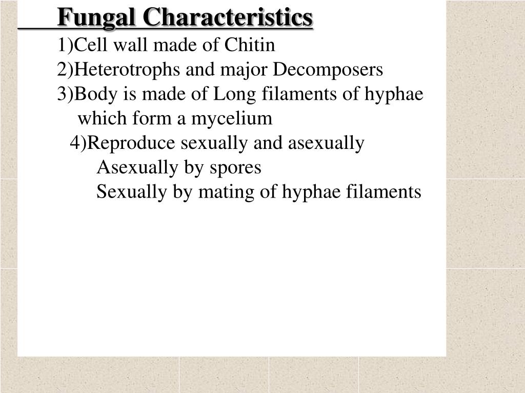 PPT Fungal Characteristics 1) Cell wall made of Chitin PowerPoint