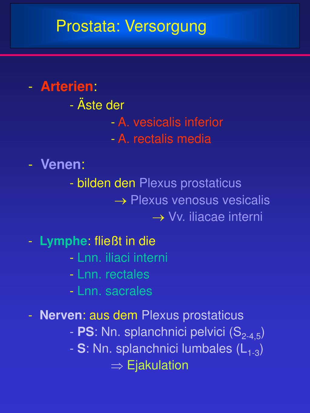 PPT Hoden Tubuli seminiferi contorti PowerPoint Presentation, free