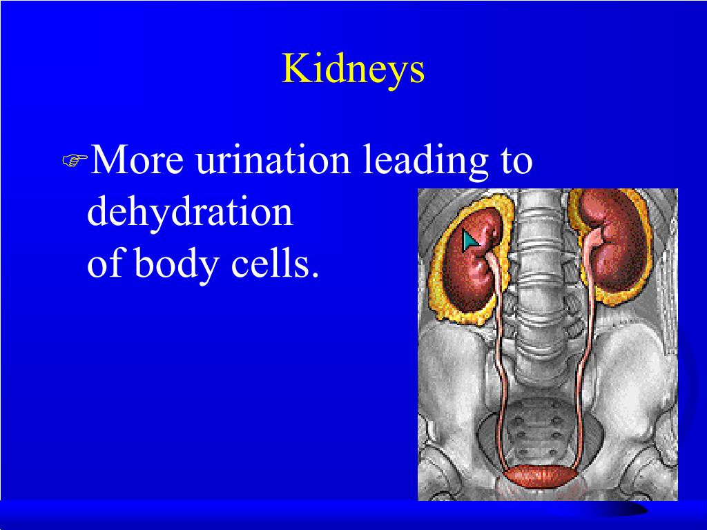 PPT Alcohol’s Effects on the Body PowerPoint Presentation, free