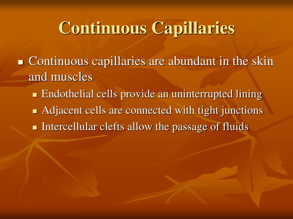 PPT Blood Vessels PowerPoint Presentation, free download ID3109618