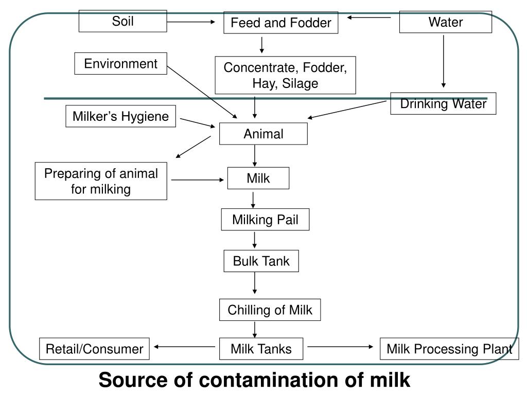PPT CLEAN MILK PRODUCTION (CMP) PowerPoint Presentation, free