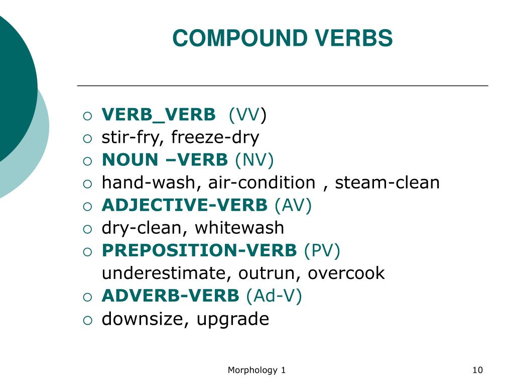 PPT Morphology PowerPoint Presentation, free download ID3111171