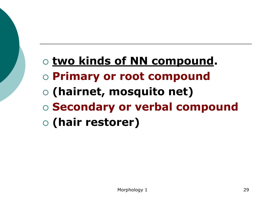 PPT Morphology PowerPoint Presentation, free download ID3111171