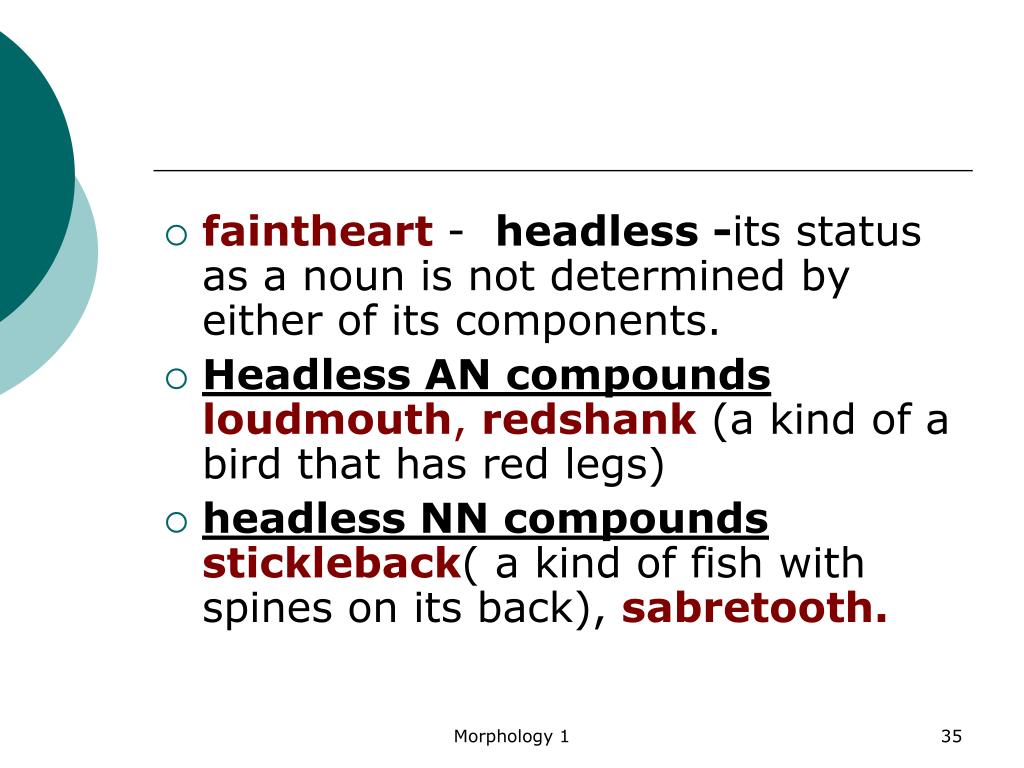 PPT Morphology PowerPoint Presentation, free download ID3111171