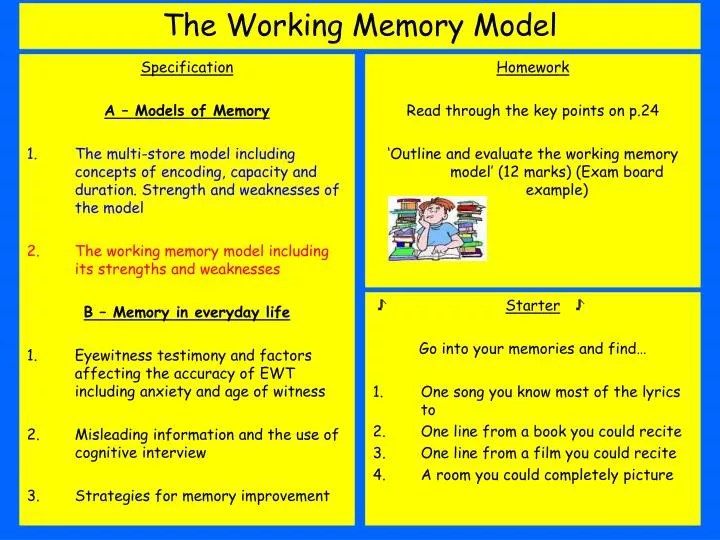 PPT The Working Memory Model PowerPoint Presentation