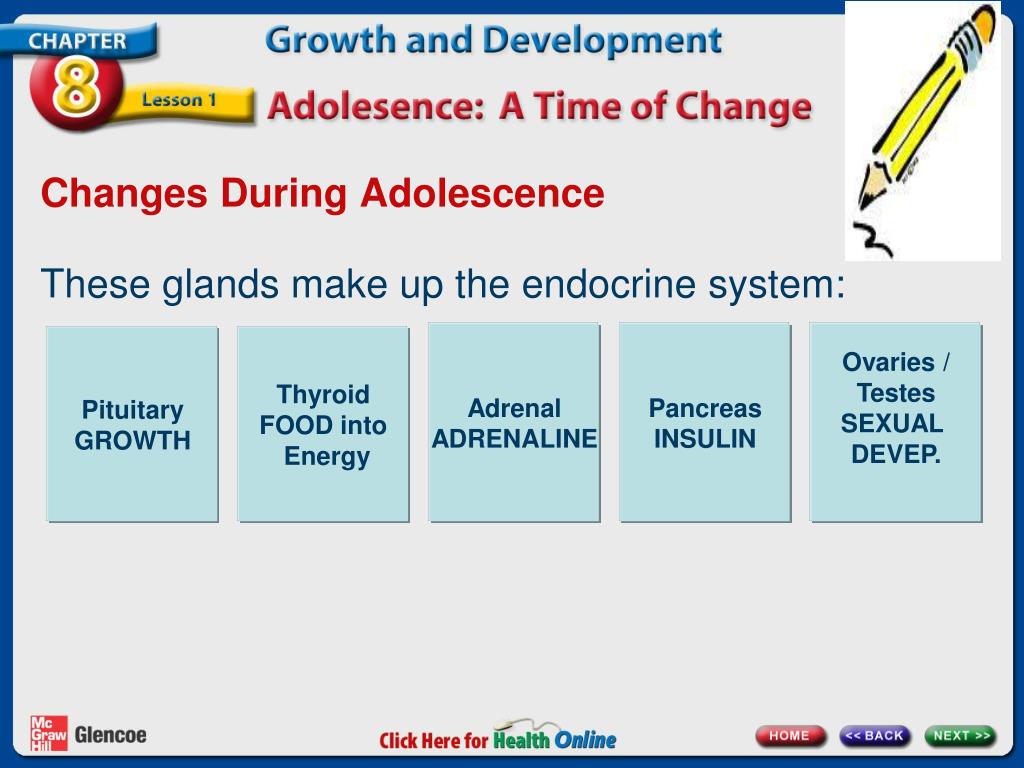 PPT Chapter 3 Healthy Relationships PowerPoint Presentation ID3114407