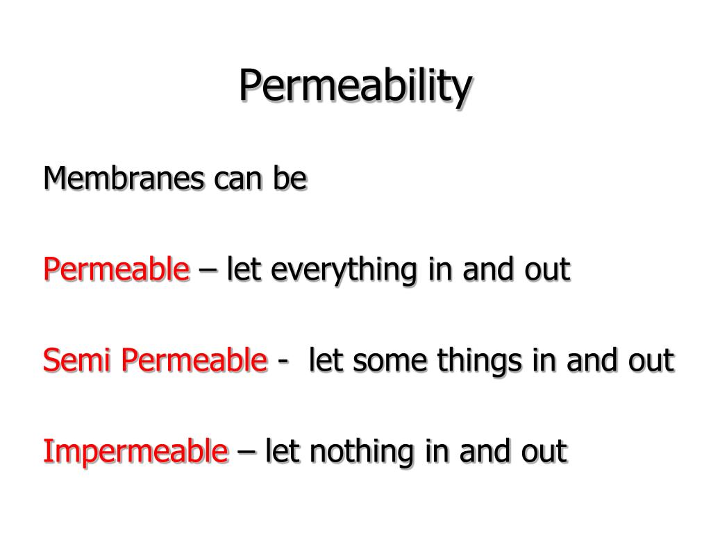 PPT Movement of Substances PowerPoint Presentation, free download