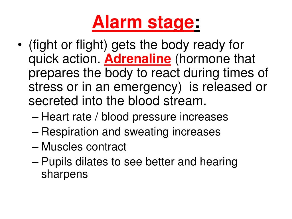 PPT Lesson 9 PowerPoint Presentation, free download ID3117870