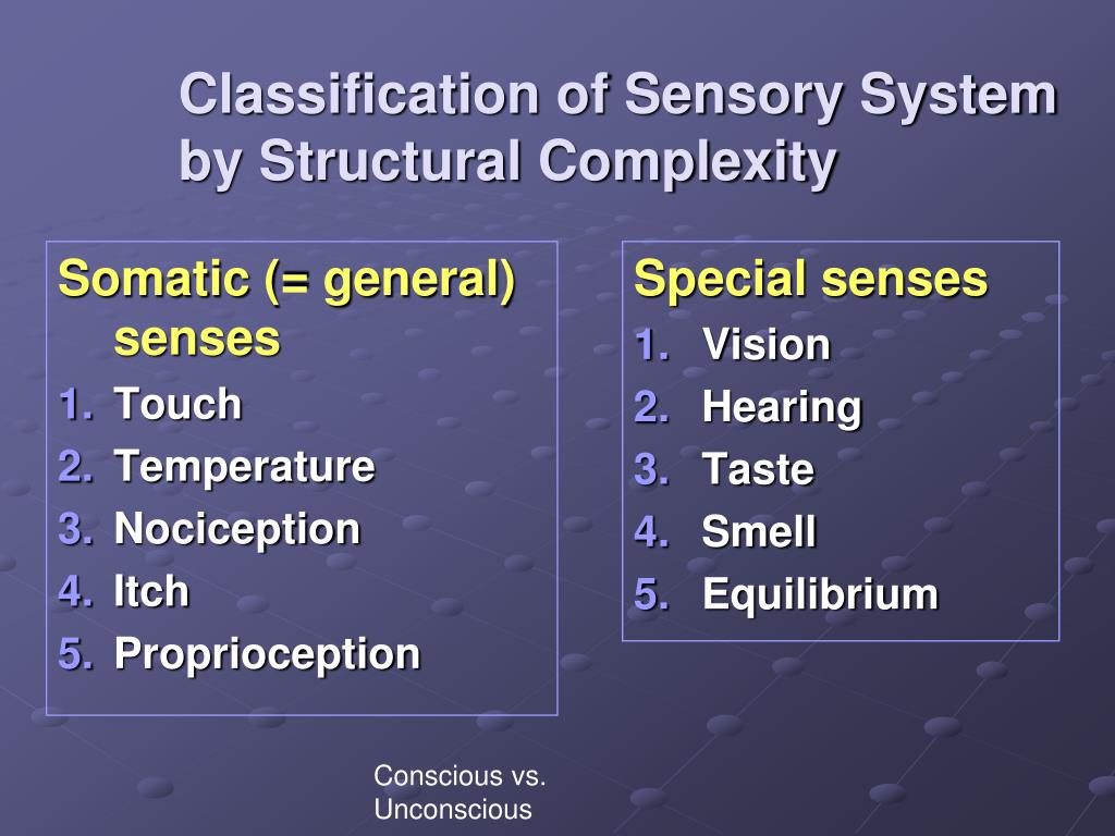 PPT Sensory Overview PowerPoint Presentation, free download ID3120120