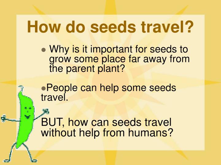 PPT Traveling Seeds! PowerPoint Presentation ID3122029