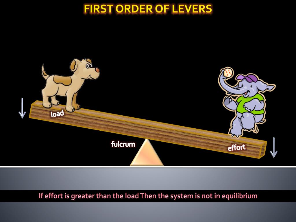 PPT Three types of lever PowerPoint Presentation, free download ID