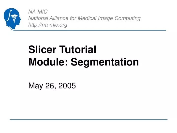 PPT Slicer Tutorial Module Segmentation PowerPoint Presentation, free download ID3122823